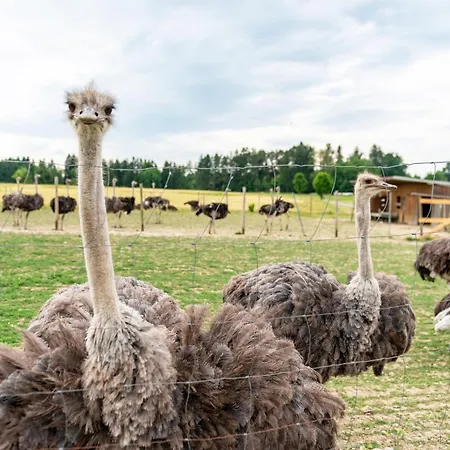 Beutenmühle Straussenfarm Erdgeschoss *