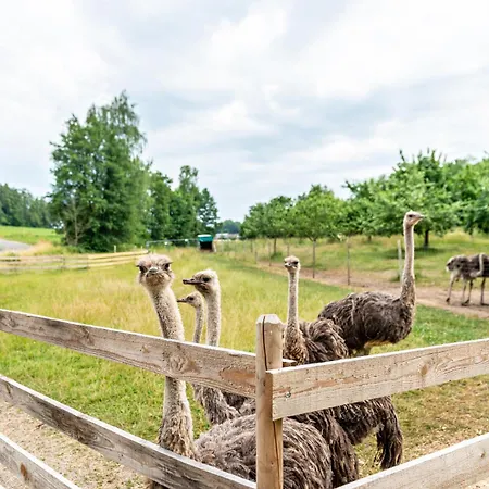 Beutenmuehle Straussenfarm Erdgeschoss
